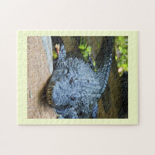 Puzzle Crocodile (Horizontal)