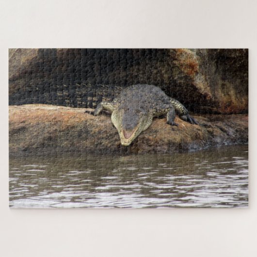 Puzzle crocodile (Horizontal)