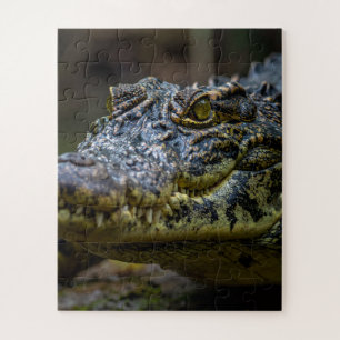 Puzzle crocodile