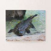 Puzzle Crocodile (Horizontal)