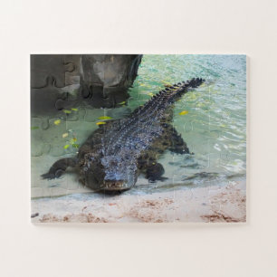 Puzzle Crocodile