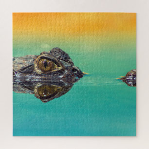 Puzzle Crocodile bébé vert dans l'eau avec bleu et orange
