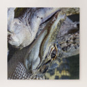 Puzzle Crocodile de bébé mignon et Cheeky souriant (Horizontal)