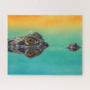 Puzzle Crocodile de bébé vert dans l'eau avec bleu et ora