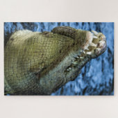 Puzzle Crocodile Dents Eau (Horizontal)
