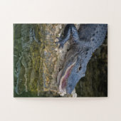 Puzzle Crocodile foncé avec une réflexion claire dans l'e (Horizontal)