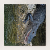 Puzzle Crocodile foncé avec une réflexion claire dans l'e (Horizontal)