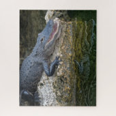 Puzzle Crocodile foncé avec une réflexion claire dans l'e (Vertical)