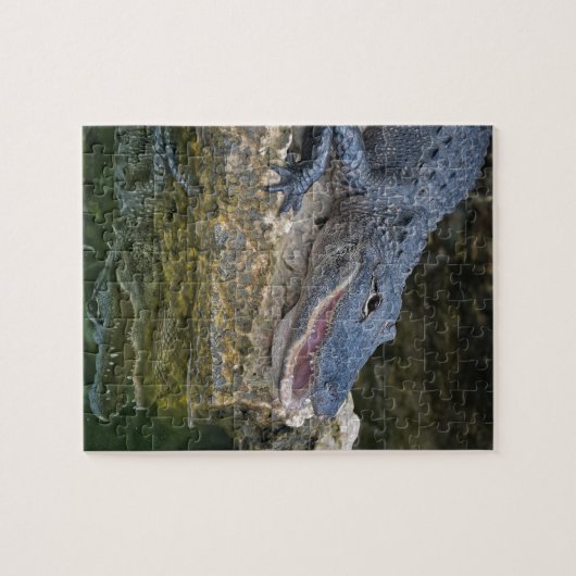 Puzzle Crocodile foncé avec une réflexion claire dans l'e (Horizontal)