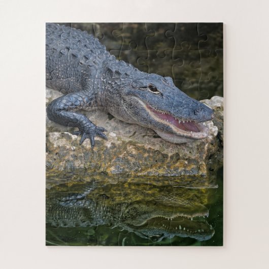 Puzzle Crocodile foncé avec une réflexion claire dans l'e (Vertical)