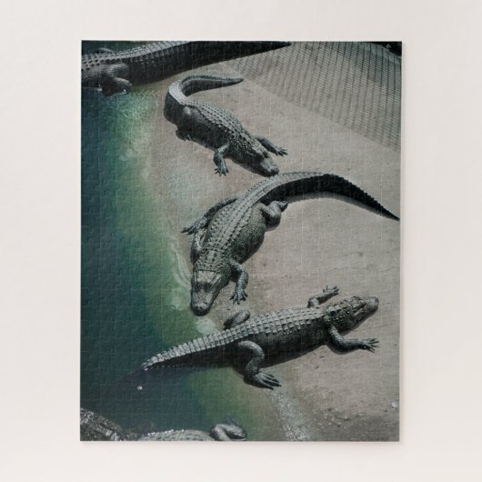 Puzzle Crocodiles reposant sur une faune de Riverbank (Vertical)