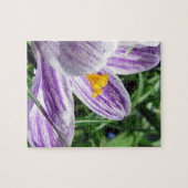Puzzle Crocus au printemps violet (Horizontal)