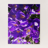 PUZZLE CROCUS DE PRINTEMPS (Vertical)