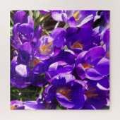PUZZLE CROCUS DE PRINTEMPS (Horizontal)