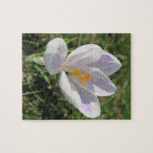 Puzzle crocus, printemps, fleur, nature, violet, fleur, (Horizontal)