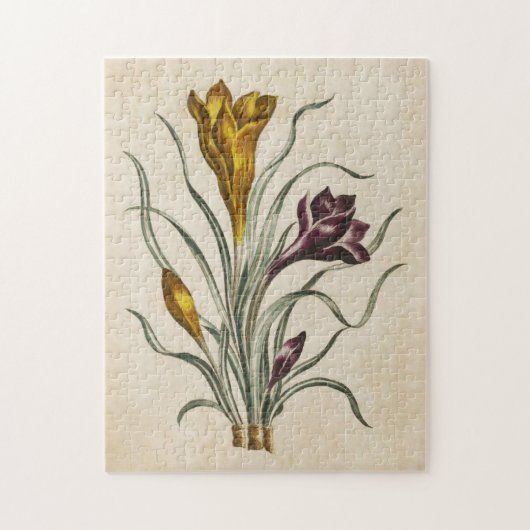 Puzzle Crocus végétal vintage (Vertical)