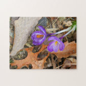 puzzle - Crocus violets (Horizontal)