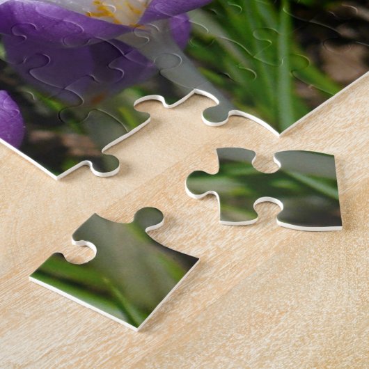 Puzzle Crocus violets ensoleillés (Côté)