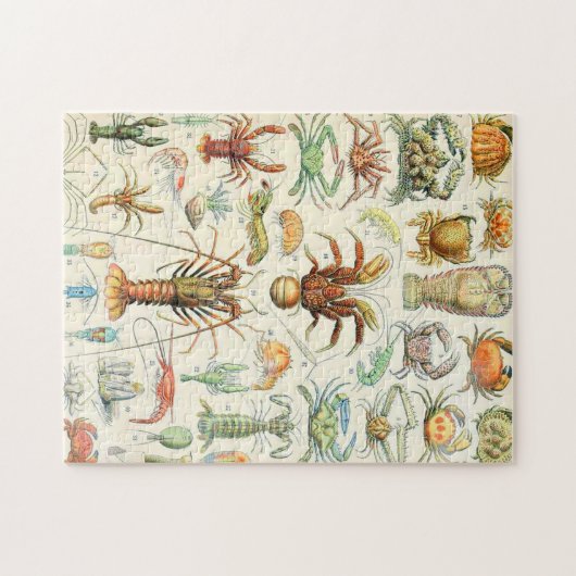 Puzzle Crostères Adolphe Millot (Horizontal)