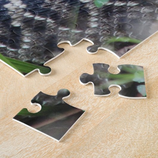 Puzzle Crotale (Côté)