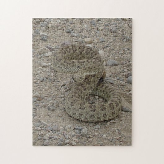 Puzzle Crotale des prairies R9 enroulé (Vertical)