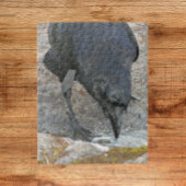 Puzzle Crow à la soif prendre un verre