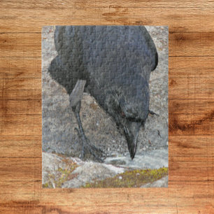 Puzzle Crow à la soif prendre un verre