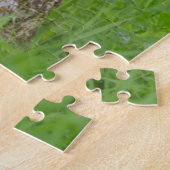 Puzzle Cube d'ours noir | Great Smoky Mountains (Côté)