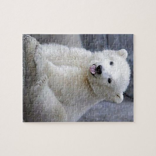 Puzzle Cube d'ours polaire (Horizontal)