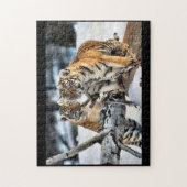 Puzzle Cubes de tigre en jeu (Vertical)