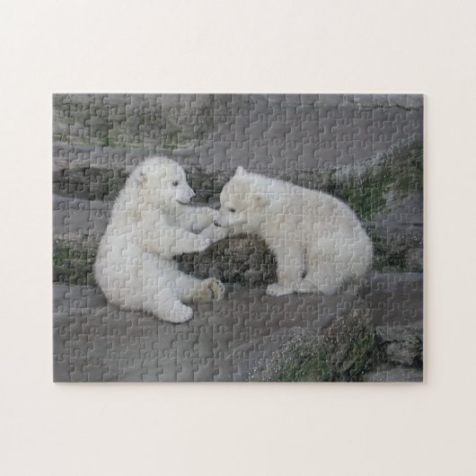 Puzzle Cubes d'ours polaires (Horizontal)