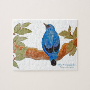 Puzzle Cuckooshrike bleu sur la branche Aquarelle Bird