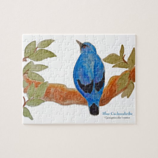 Puzzle Cuckooshrike bleu sur la branche Aquarelle Bird (Horizontal)