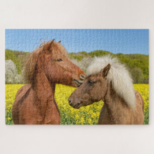 Puzzle Cuddle islandais mignonne à cheval dans une prairi
