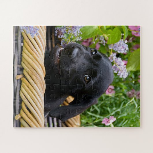Puzzle Cuisine Black Labrador Retriever Chien Chiot Chiot (Horizontal)