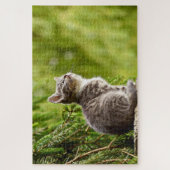 Puzzle Cuisine Chat Gris Kitten Pin vert arbre (Vertical)