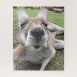 Puzzle Cuisine drôle Visage Kangourou Animal éducatif Pho<br><div class="desc">Le Mignon Visage Kangaroo Australian Animal Photo Puzzle</div>