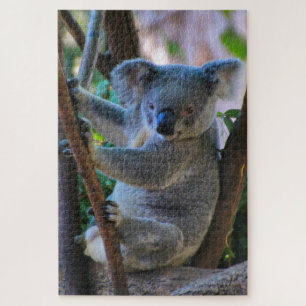 Puzzle Cuisinier koala australien