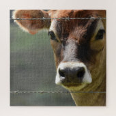 Puzzle Curieuse vache regardant à travers une clôture de  (Vertical)
