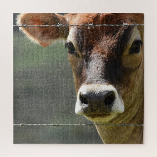 Puzzle Curieuse vache regardant à travers une clôture de (Vertical)