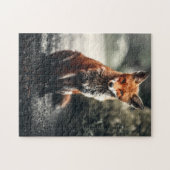 Puzzle Curieux Big Red et White Fox assis dans la nature (Horizontal)