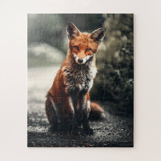 Puzzle Curieux Big Red et White Fox assis dans la nature (Vertical)