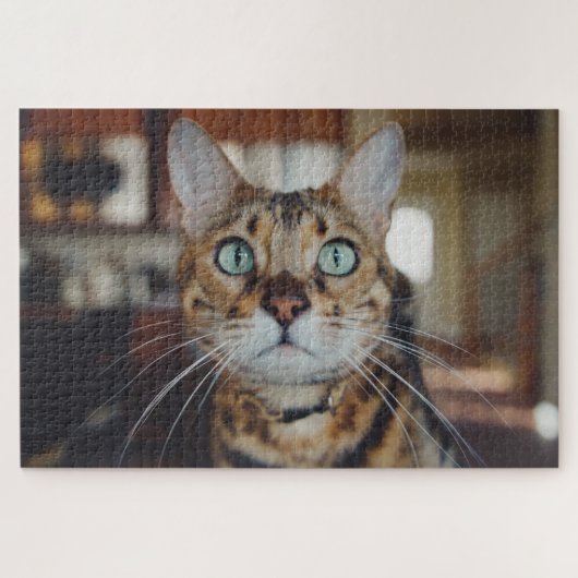 Puzzle curieux casse-tête (Horizontal)