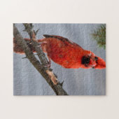 Puzzle Curieux casse-tête cardinal (Horizontal)