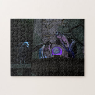 Puzzle Curieux Crow Féeries