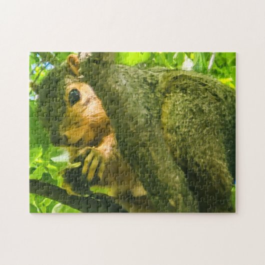 Puzzle "Curieux dans la canopée" (Horizontal)