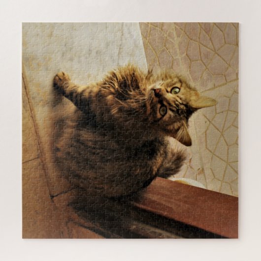 Puzzle Curieux Kitty (Horizontal)