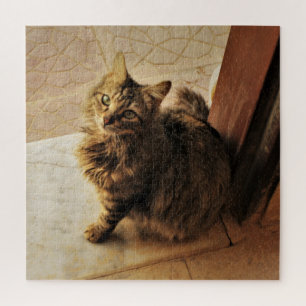 Puzzle Curieux Kitty