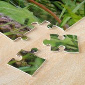 Puzzle Curieux oiseau-chanteur américain Robin dans l'her (Côté)