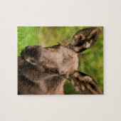Puzzle Curieux orignal (Horizontal)